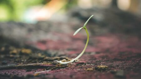 Yaşam Kalitesini Artırmanın 10 Yolu: Sağlıklı Alışkanlıklar ve İpuçları